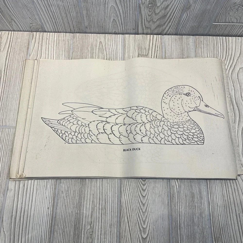 Belleville Area Holzschnitzers Duck Decoy Carving Patterns Lot of 22 Waterfowl